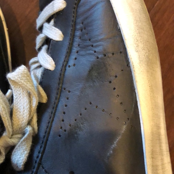 Golden goose - Picture 3 of 8